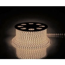 Cветодиодная LED лента FERON LS704, 60SMD(2835)/м 4.4Вт/м 100м 220V 2700К IP65