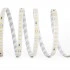 Светодиодная LED лента FERON LS520 стабилизированная, 120SMD(2835)/м 11Вт/м 24V 20000*10*1.22мм 6000К IP20 Светодиодная LED лента FERON LS520 стабилизированная, 120SMD(2835)/м 11Вт/м 24V 20000*10*1.22мм 6000К IP20