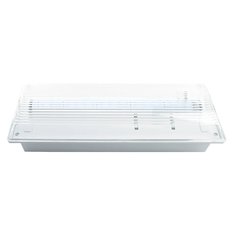 FERON Светильник аварийный, 20 LED AC/DC, белый, EM100 артикул 41535 FERON Светильник аварийный, 20 LED AC/DC, белый, EM100 артикул 41535