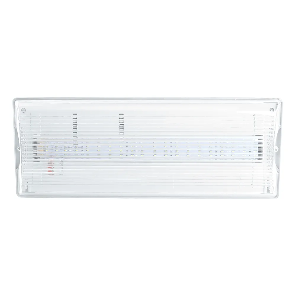 FERON Светильник аварийный, 20 LED AC/DC, белый, EM100 артикул 41535 FERON Светильник аварийный, 20 LED AC/DC, белый, EM100 артикул 41535
